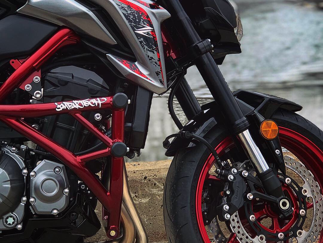 Crash Cage Kawasaki Z900 | 2016-2025