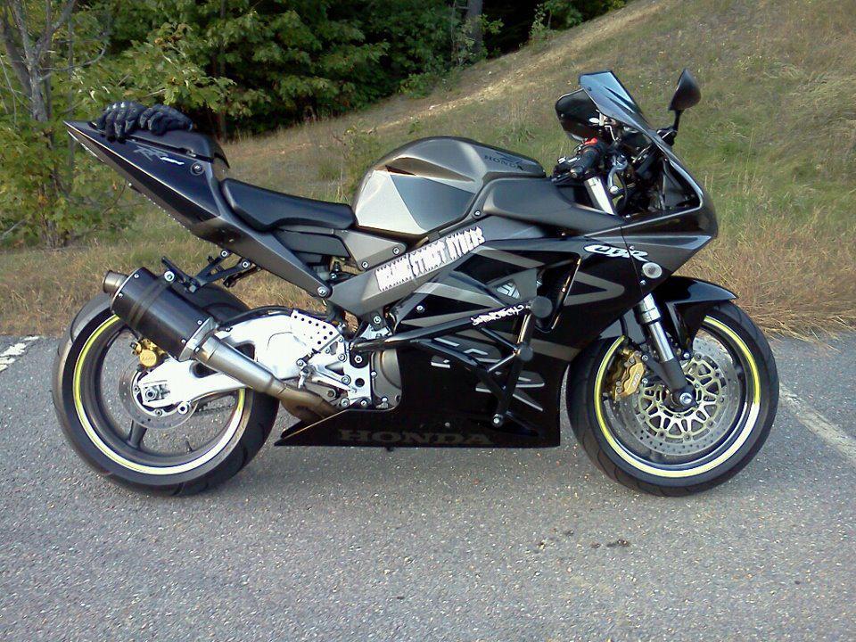 Crash Cage Honda 954/929 | 2002-2003