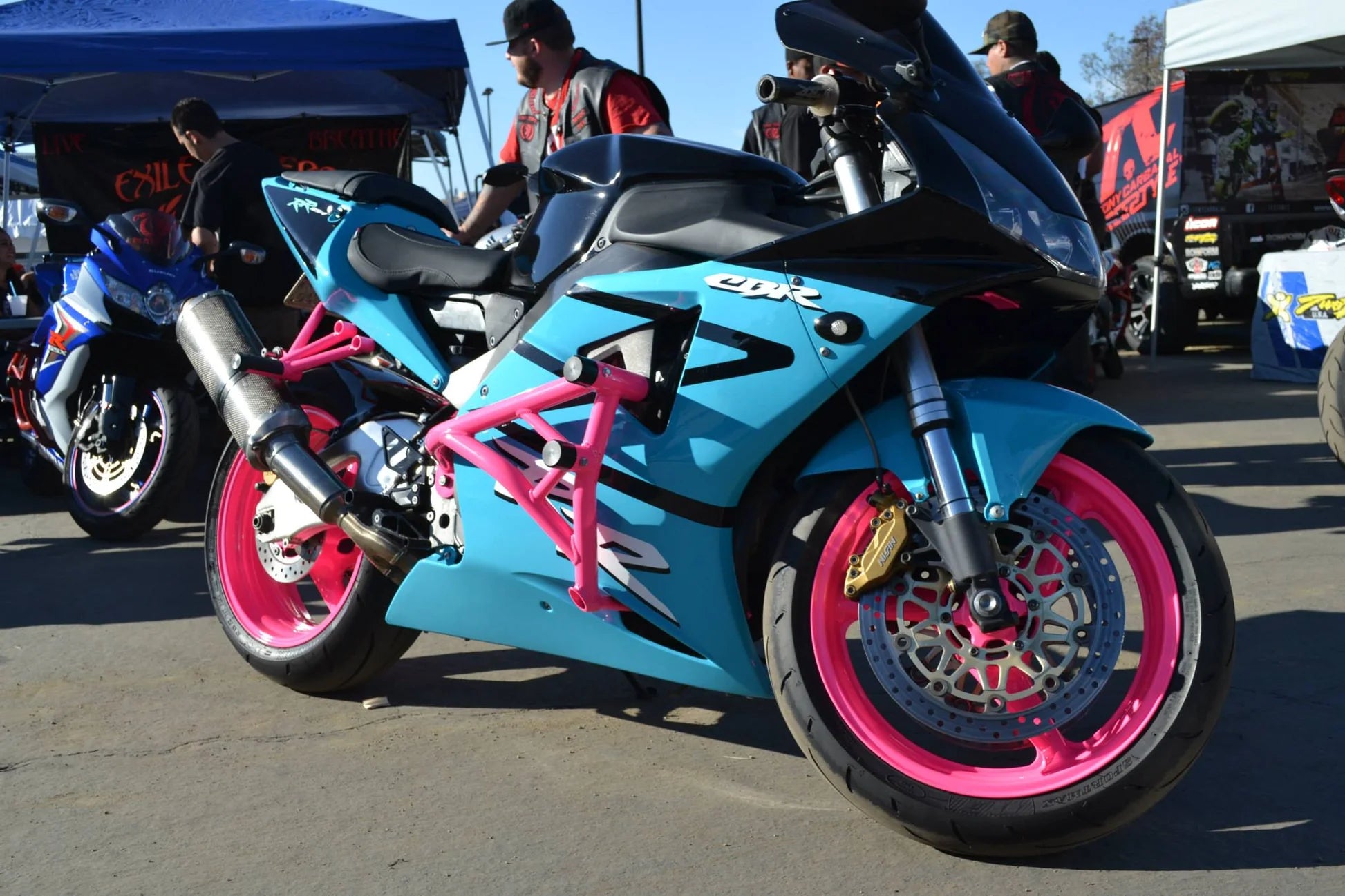 Crash Cage Honda 954/929 | 2002-2003