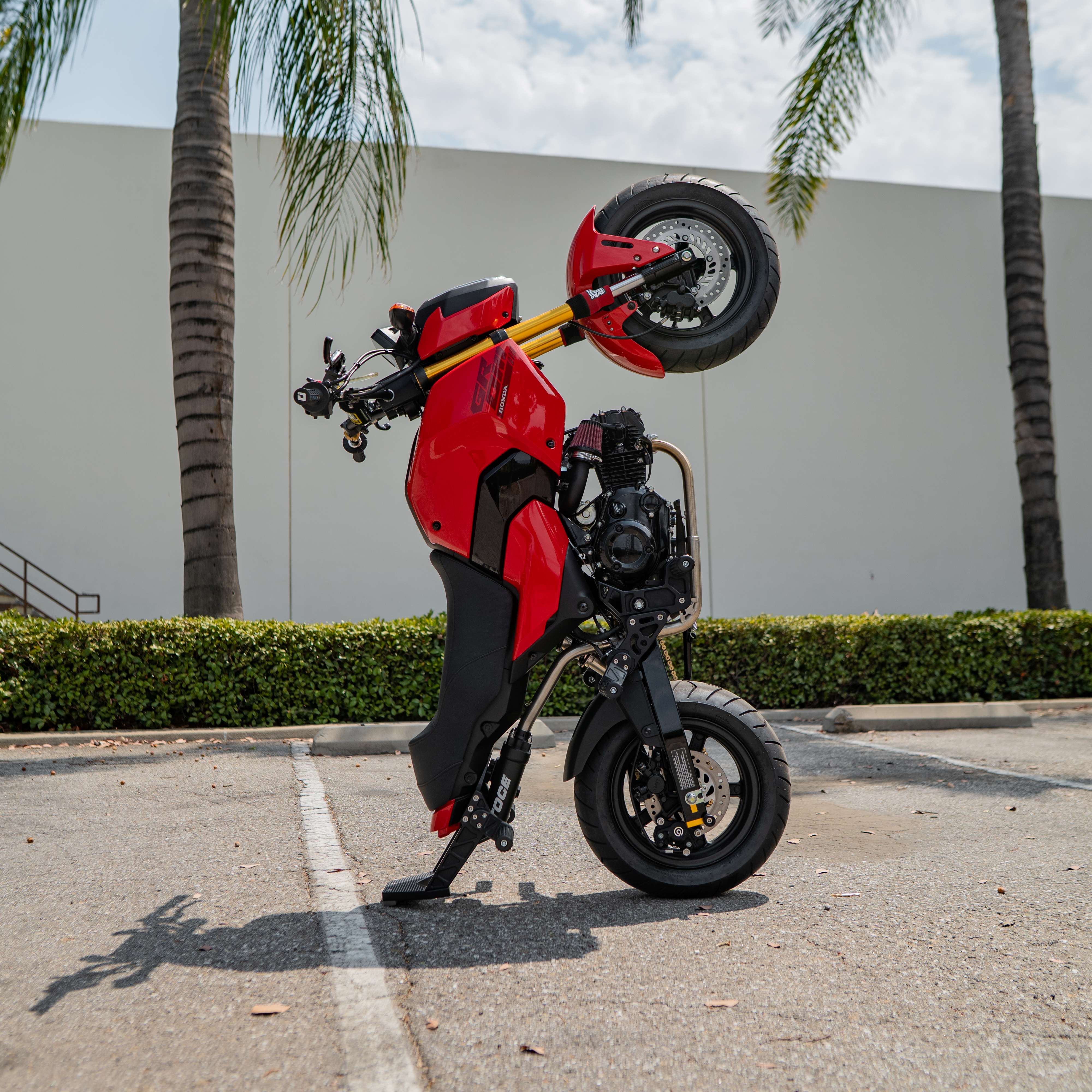 12 Bar/ Subcage Honda Grom | 2021-2026