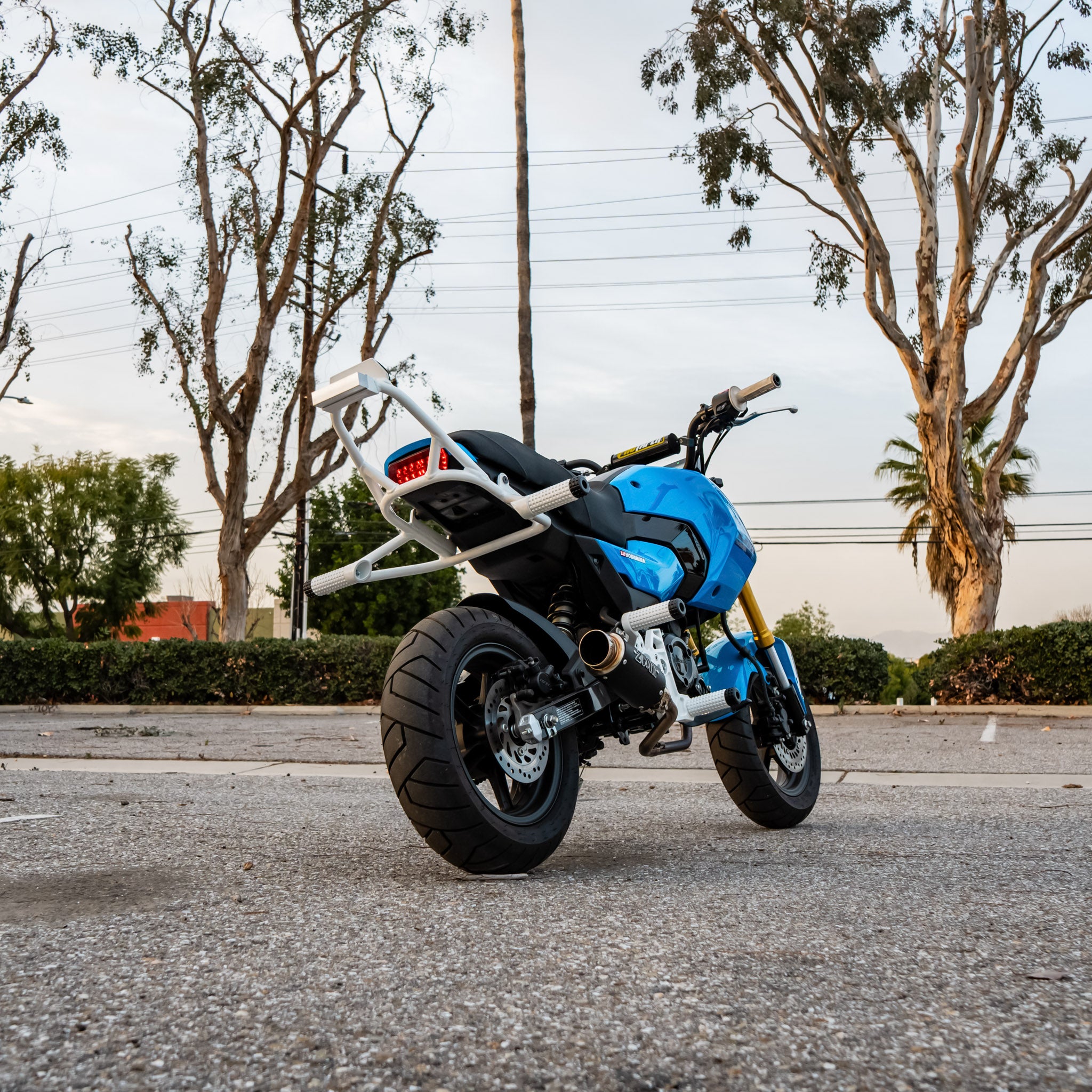 Honda Grom Steel 12 Bar/Subcage 2021-2026