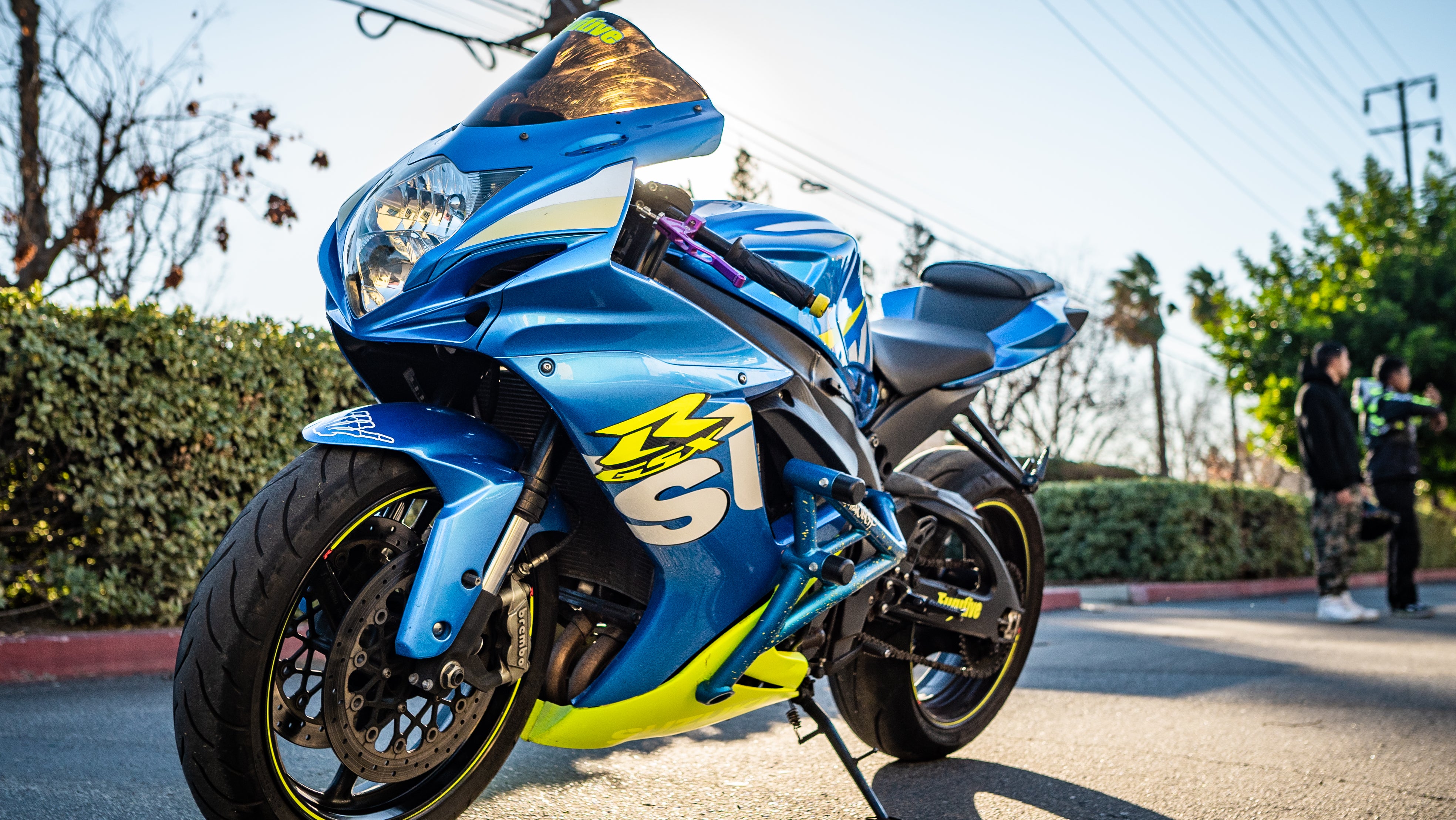 Crash Cage Suzuki GSXR-600/750 | 2011-2025