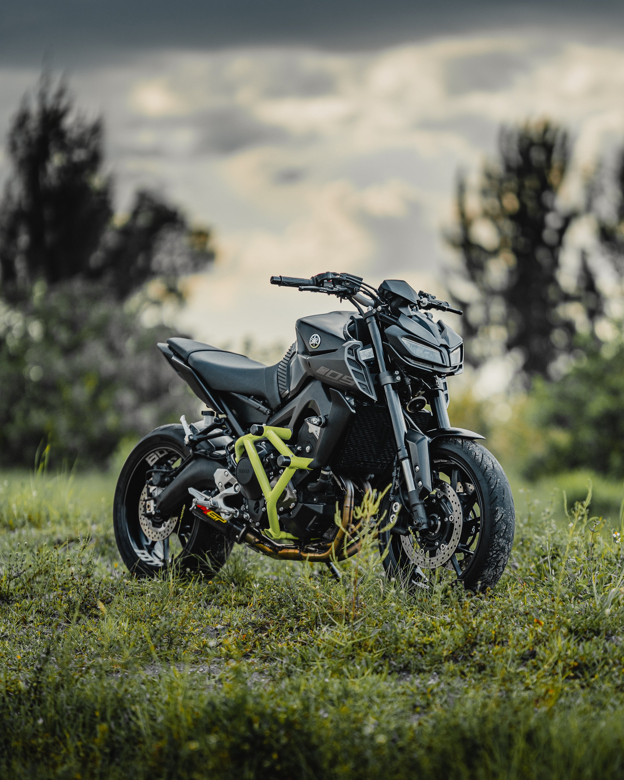 Crash Cage Yamaha MT-09 | 2018-2020