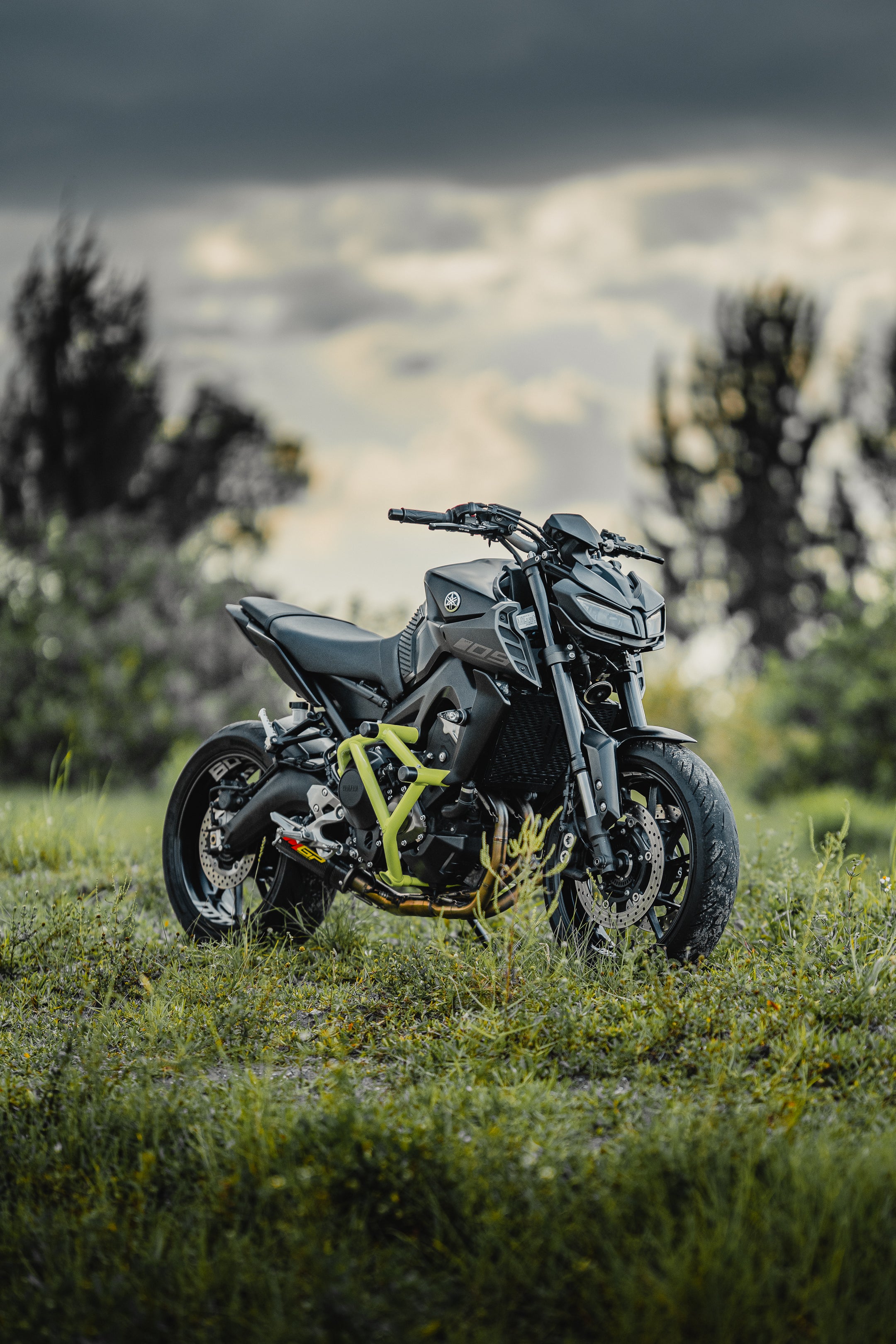Crash Cage Yamaha FZ-09/MT-09 | 2014-2017