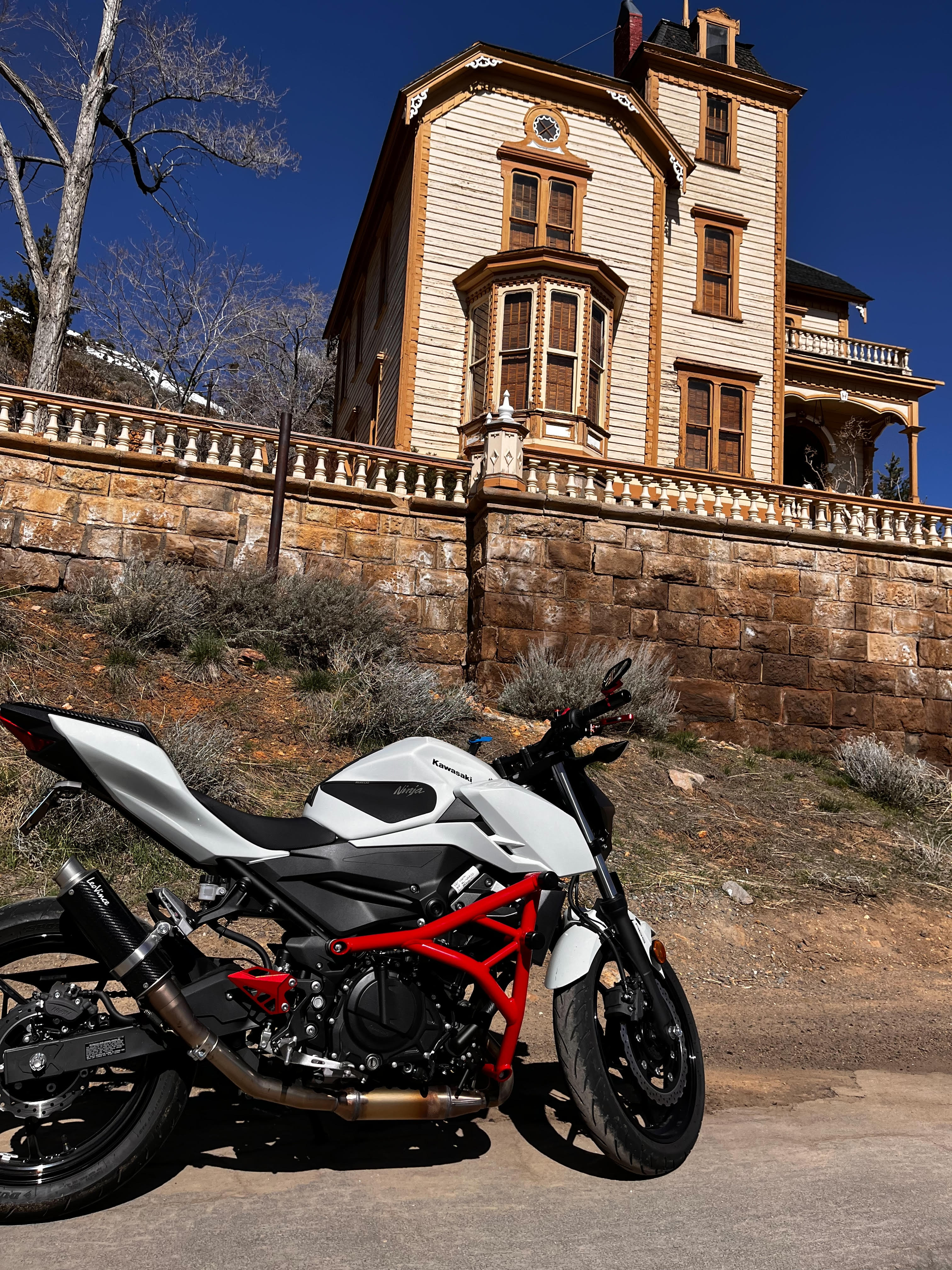 Crash Cage Kawasaki Z400 | 2018-2025
