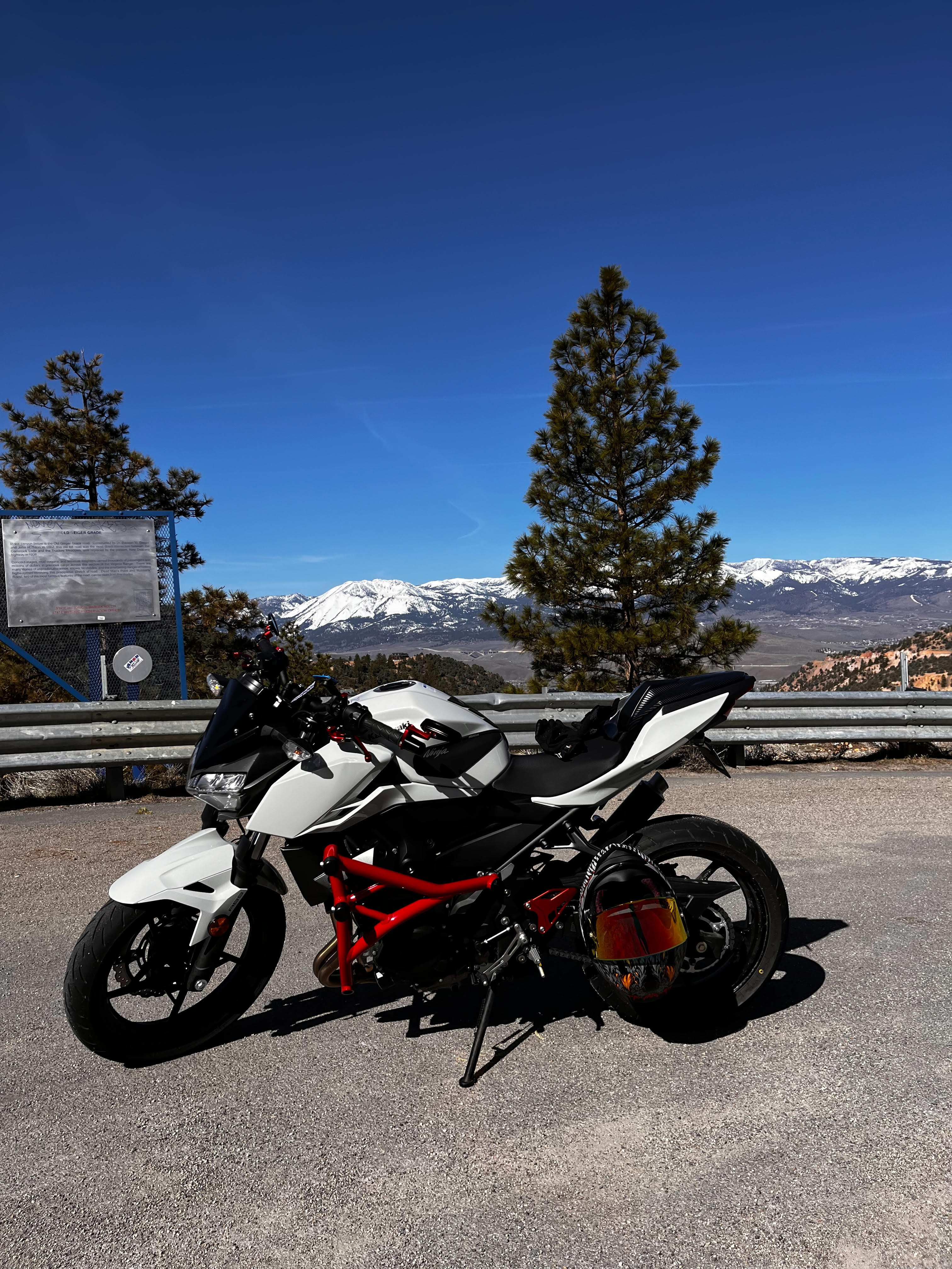 Crash Cage Kawasaki Z400 | 2018-2025