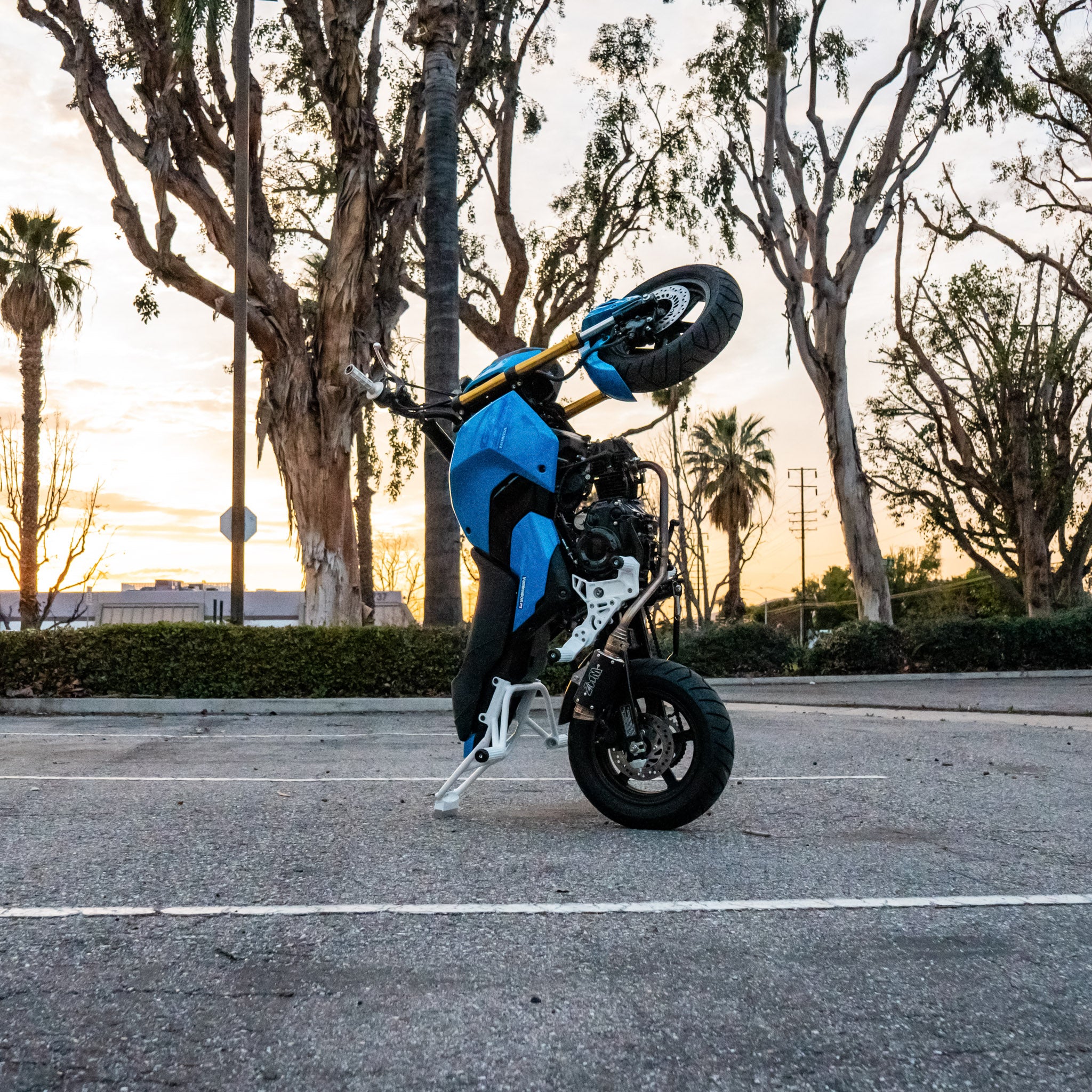 Honda Grom Steel 12 Bar/Subcage 2021-2026